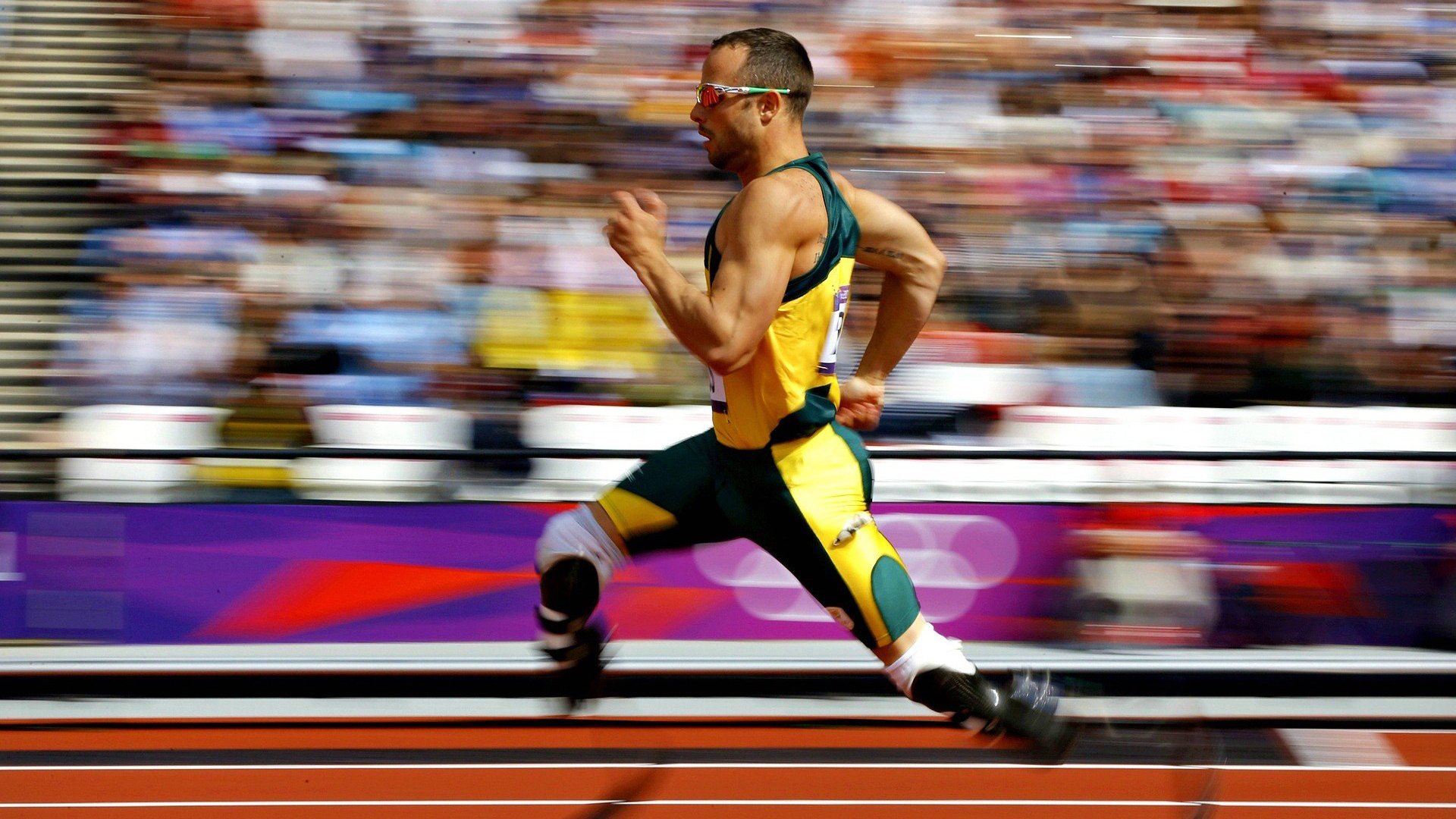 【精彩瞬间】本周经典棒球比赛回顾，棒球经典赛2022